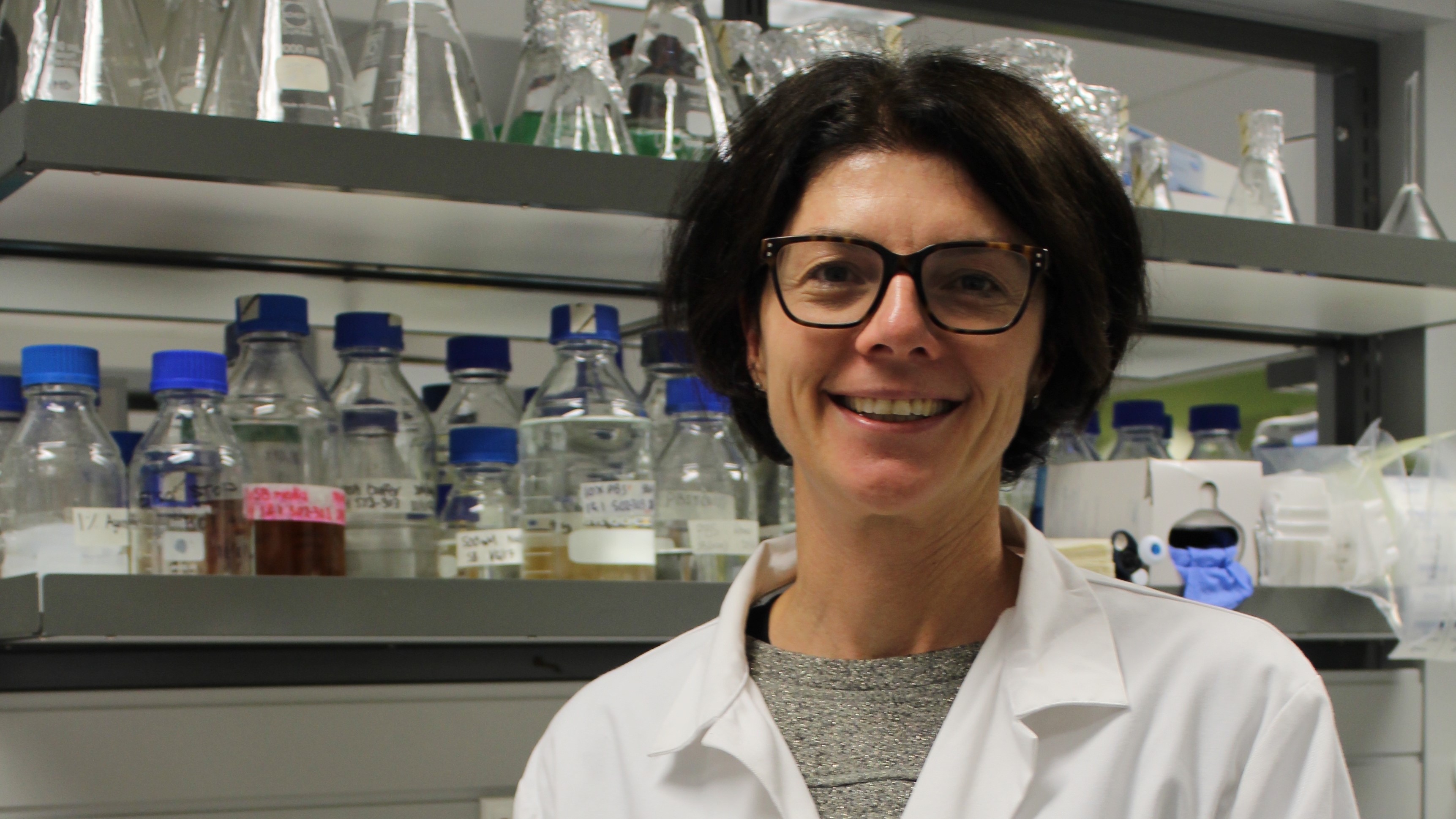 COVID-19 antibody testing underway in MWC labs