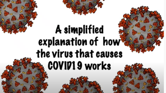 MWC COVID-19 science video translated into Samoan