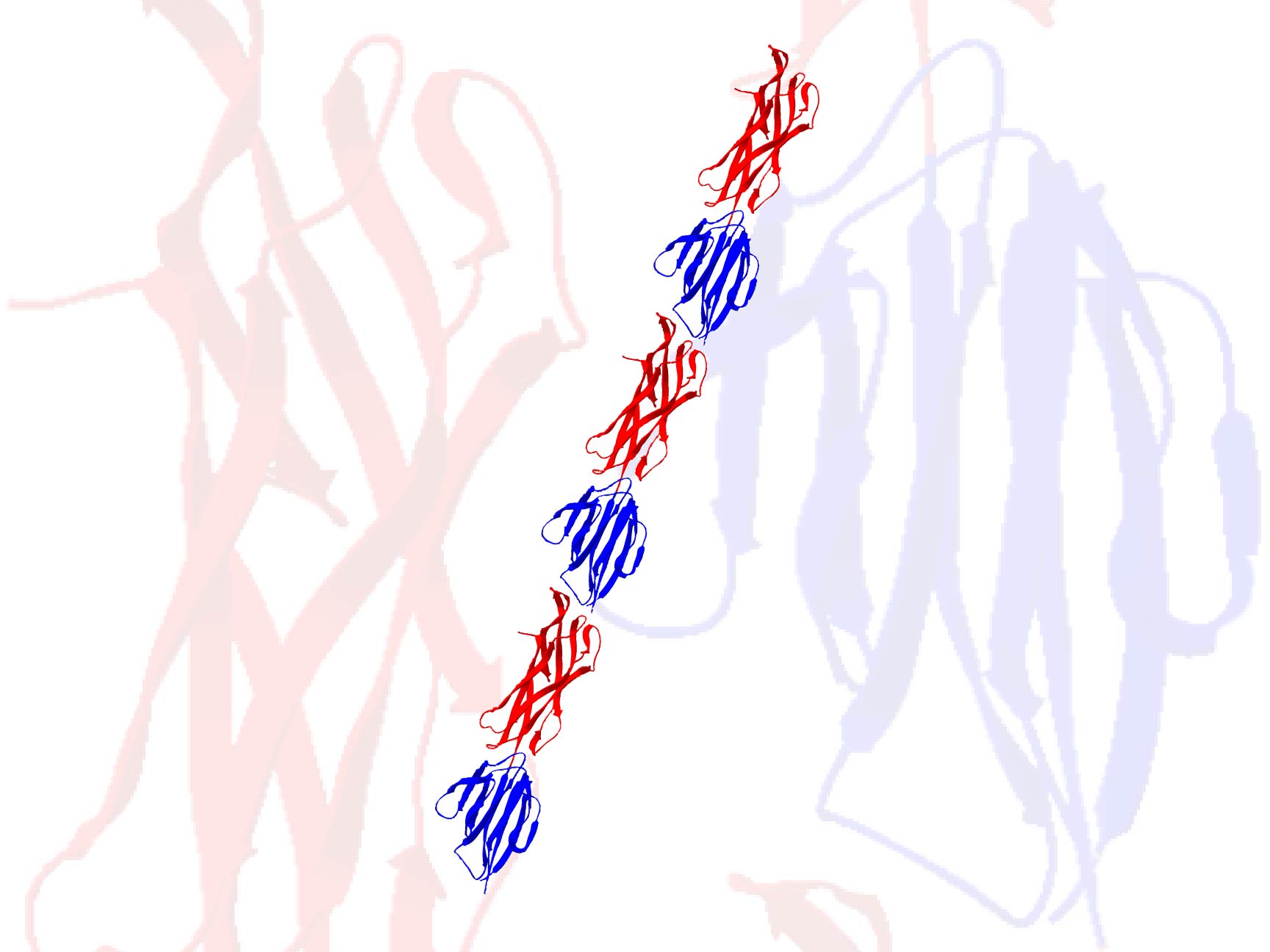Pilin protein may combat the hairy problem of human pathogens