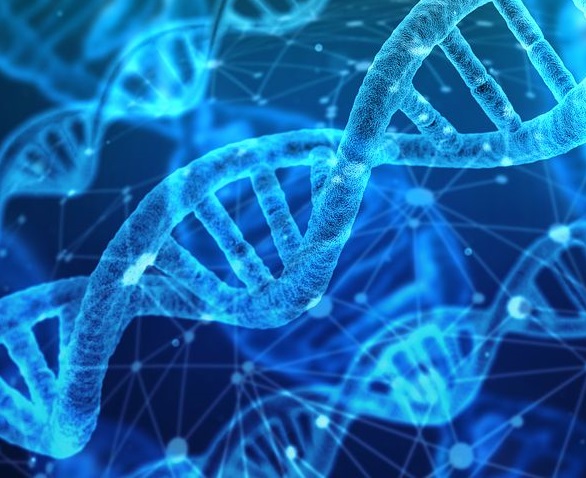 Dual approach drives precision medicine