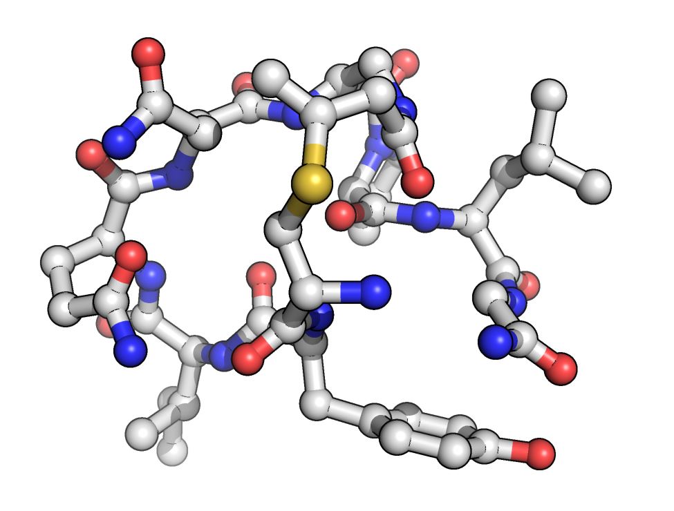 Exciting building blocks unlock peptide potential 