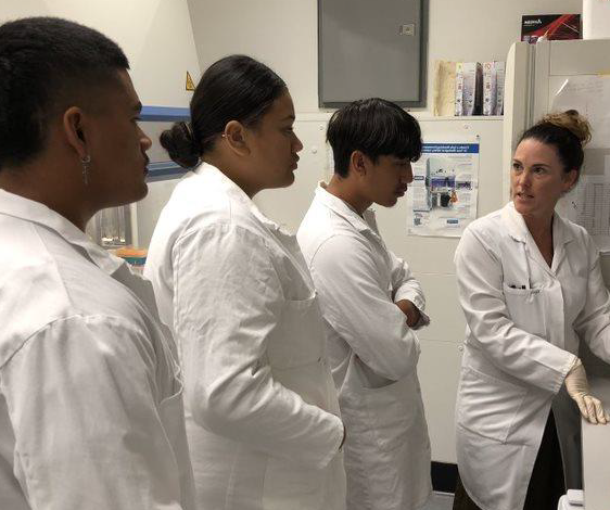 Collaboration a bridge to new knowledge