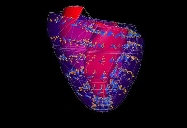 A new toolkit for building virtual humans (2011)