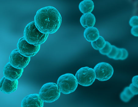 Rheumatic fever - Research strengths confront national need (2012)