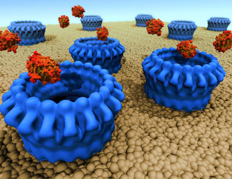 PhD student part of international drug development programme (2012)