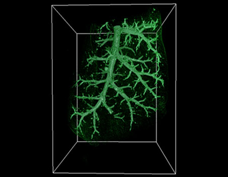 New technologies for imaging the human body (2012)