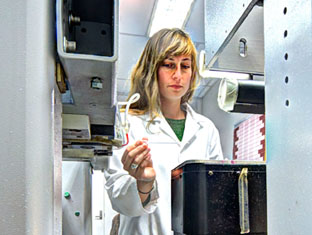 Exquisite networks (2011)