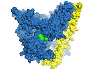 Drug selection a milestone for spin-out (2010)