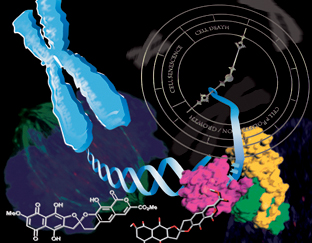 Doctoral students win international recognition (2010)
