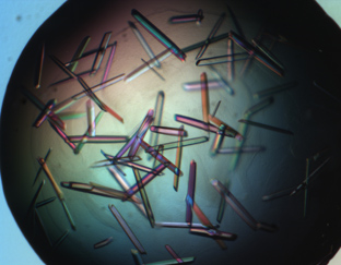 Crystals of mirrored proteins (2009)