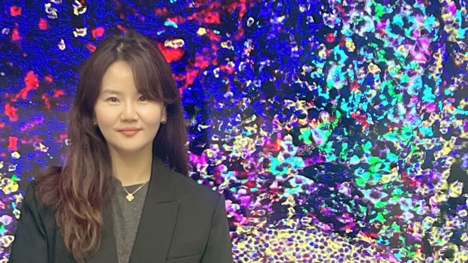 Illuminating tumour micro environments