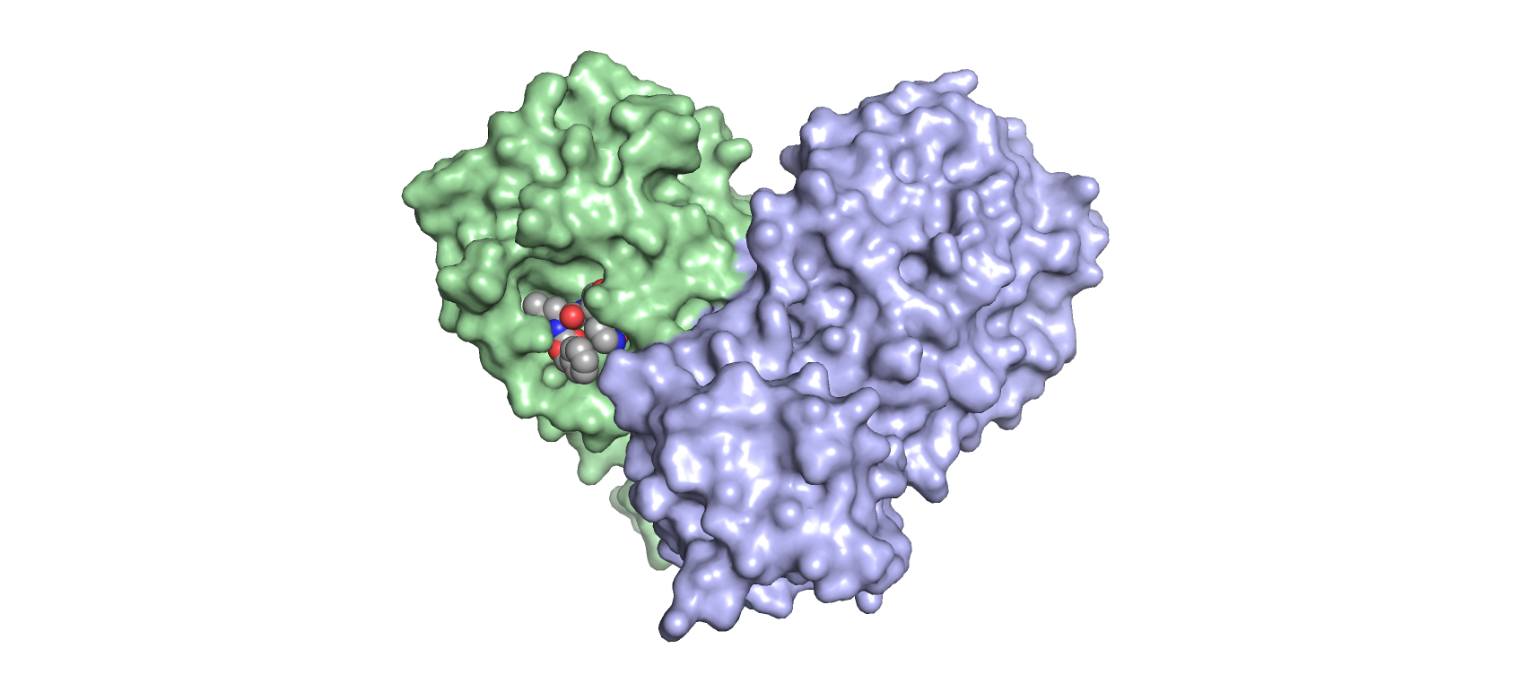 New anti-viral based therapies for Covid-19: Protease inhibitors