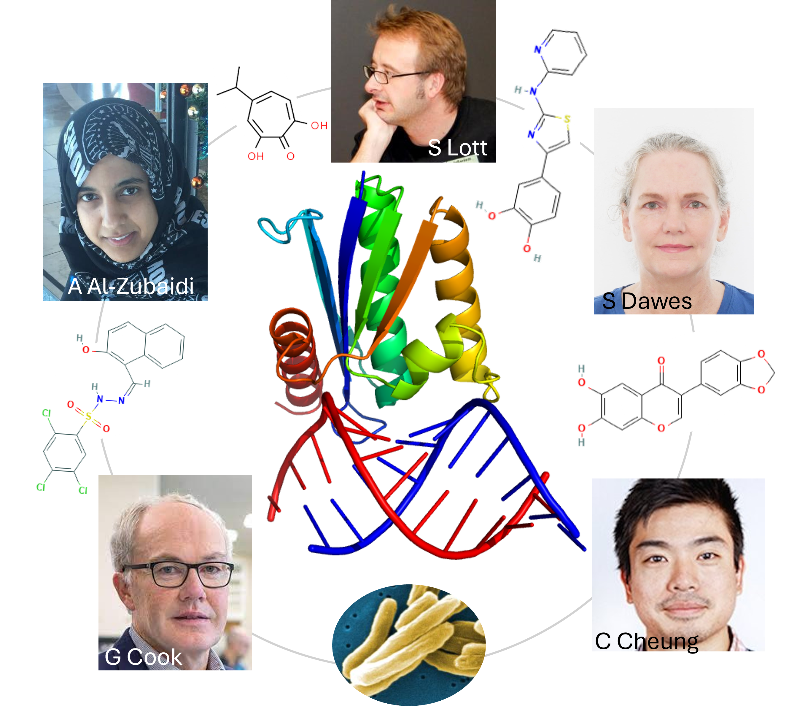 New avenues in fight against drug resistant TB
